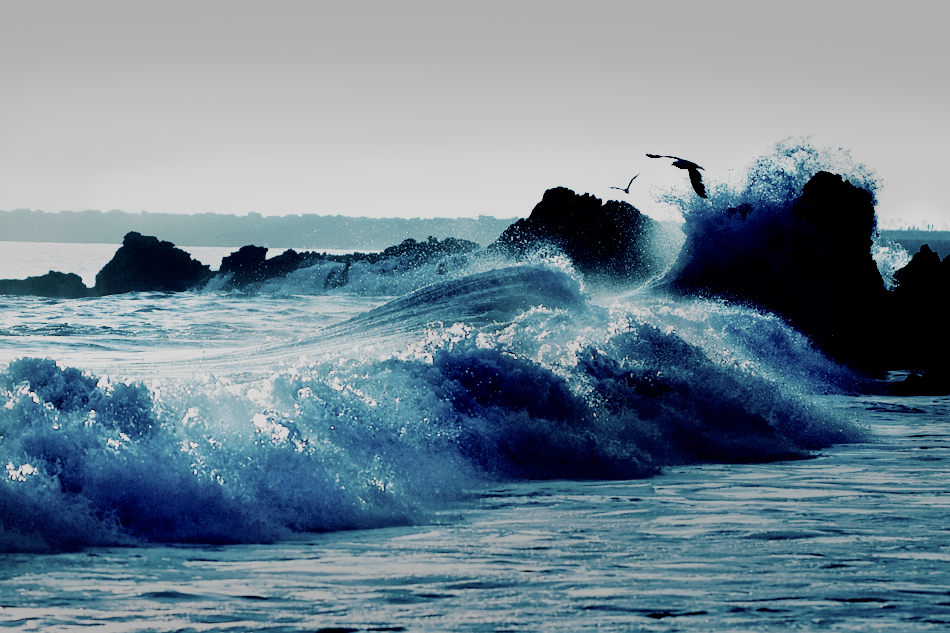 浪4.jpg