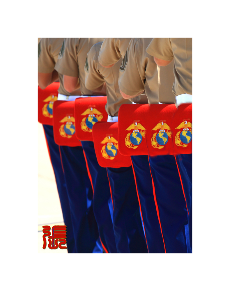 2V7U9815mm.jpg