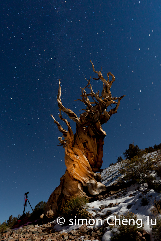 IMG_8006-Edit.jpg