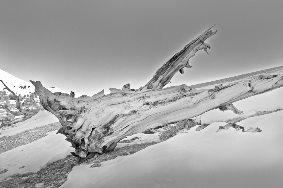 白山07.jpg