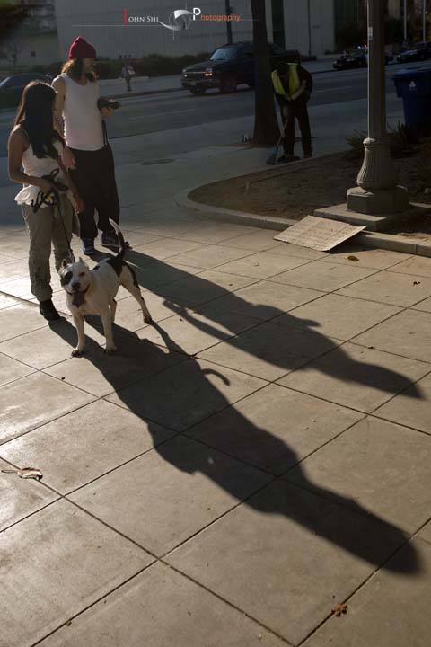 Occupy LA (6).jpg