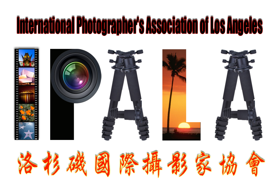 logo2.png