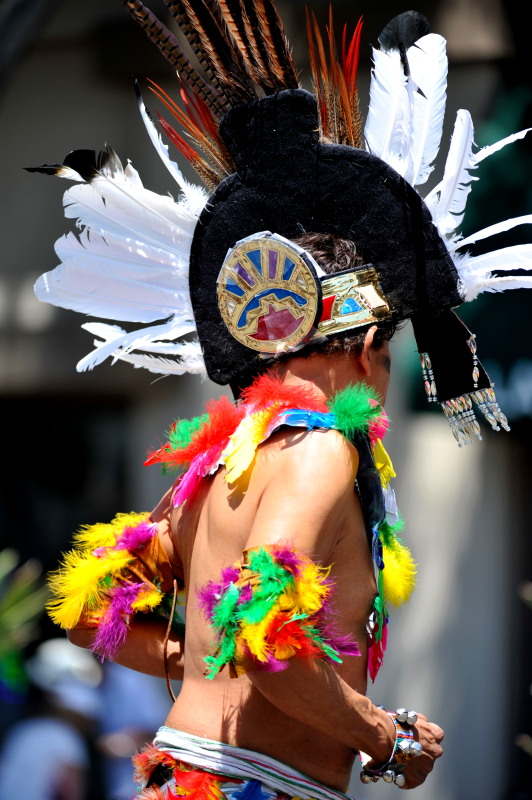 DSC_1523c.jpg