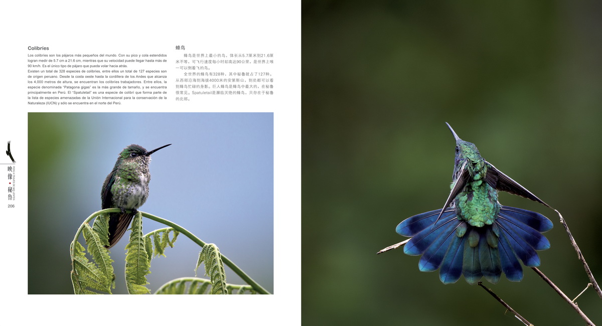 008-6副本.jpg