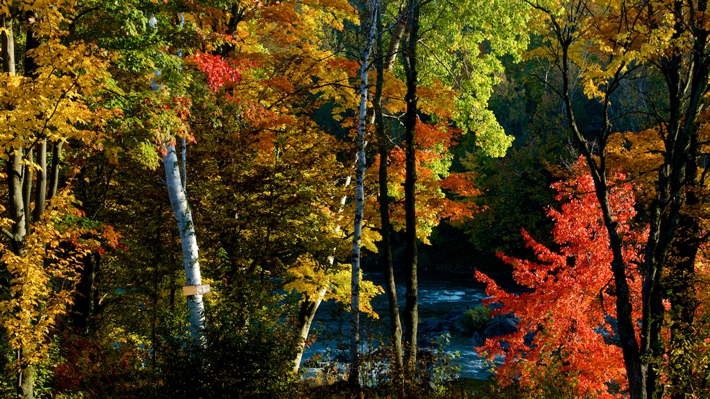 ZLI_2012-10-05_04-28-01.jpg
