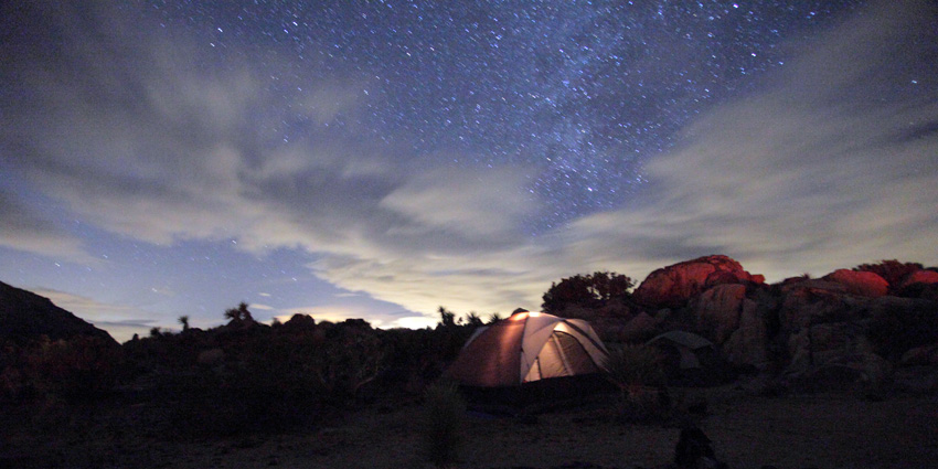 2012-12-14-Joshua Tree-008s.jpg