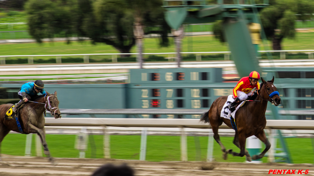 20130126-IMGP9080.jpg