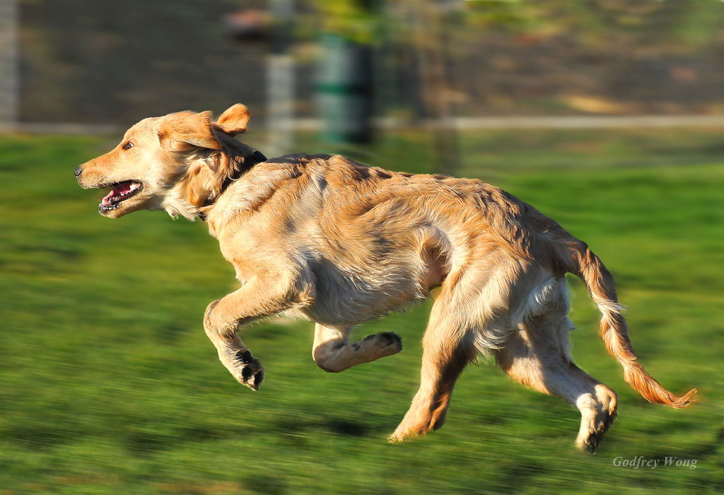 Running Alley.jpg