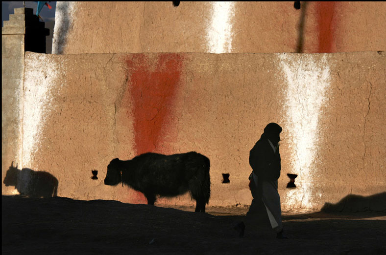 USZHOULIANZHIC1,SHADOW.jpg