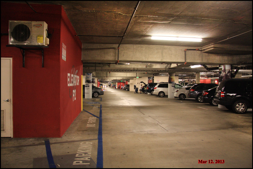 IMG_9968.jpg