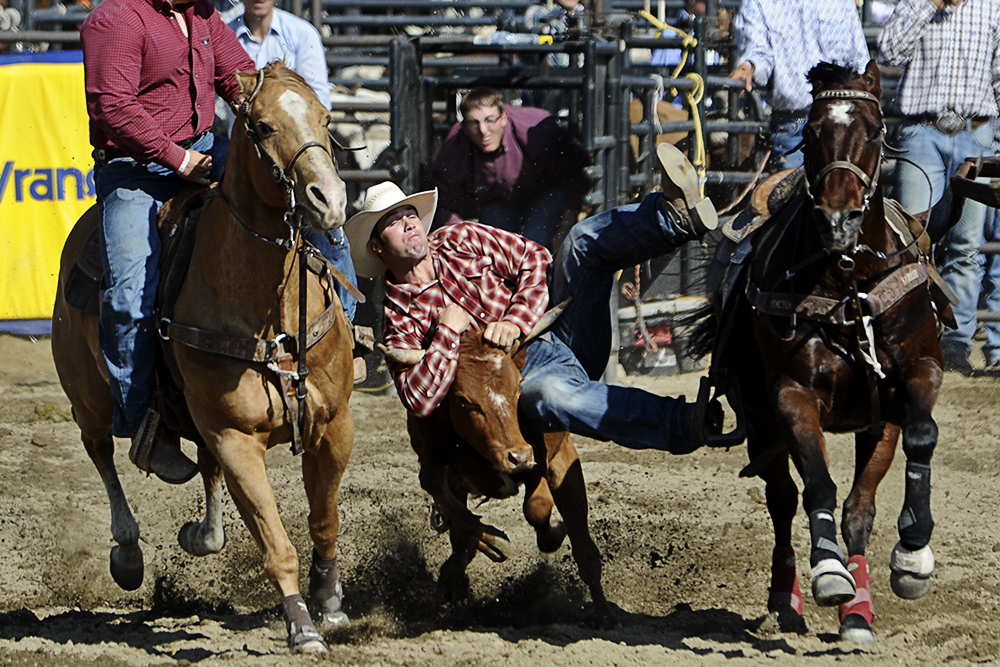 2012 San Dimas Rodeo 3.jpg