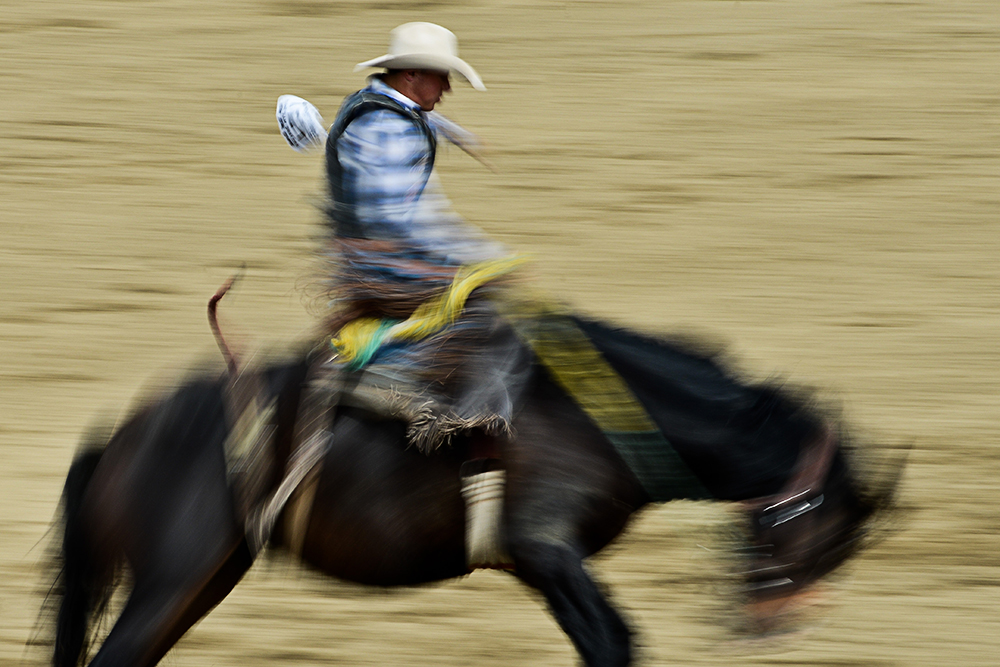 2012 San Dimas Rodeo 5.jpg