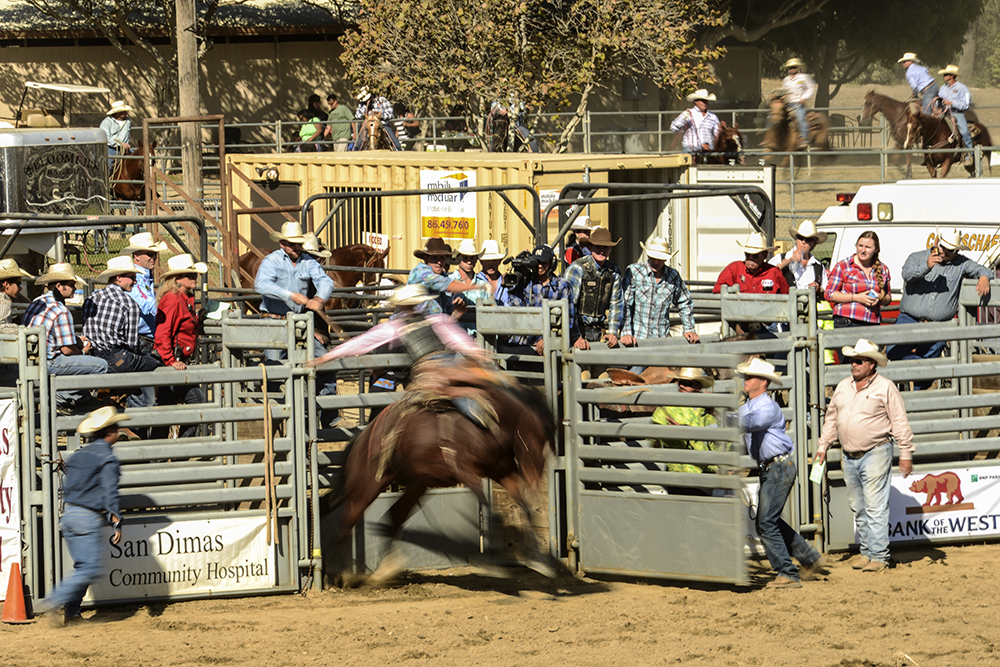 2013 San Dimas Rodeo Photo 3.jpg