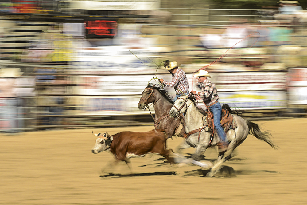 2013 San Dimas Rodeo Photo 6.jpg