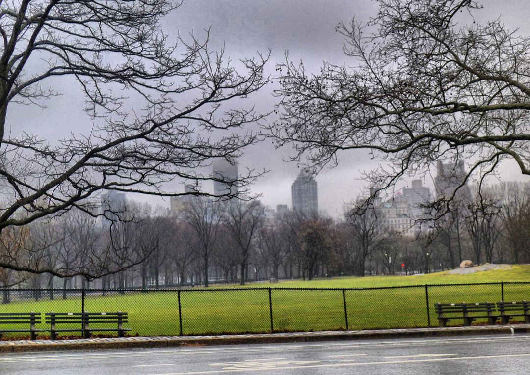 Central Park3_qhdr email.jpg