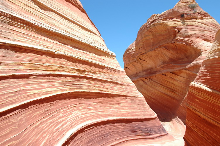 DSC_0354_resize.JPG