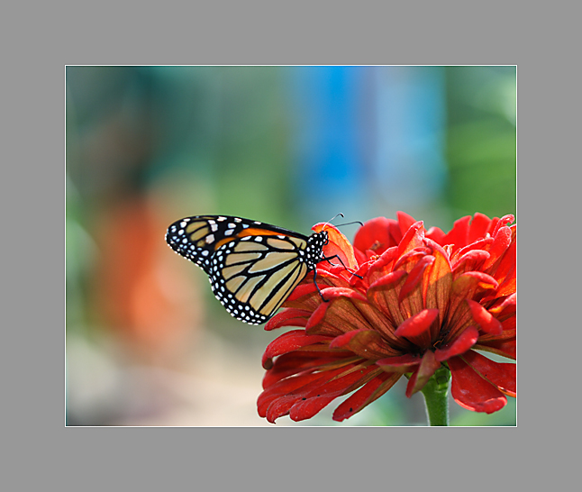 IMG_9211ps.jpg