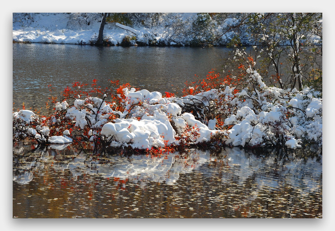 DSC_7266.JPG