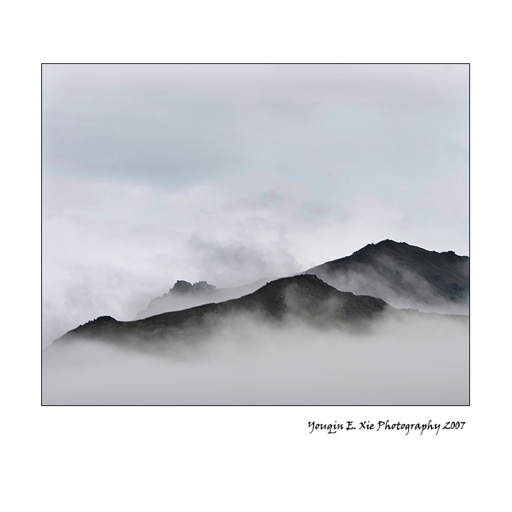 Fog_2.jpg