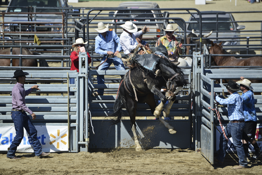 2015 San Dimas Rodeo Photo 5.jpg
