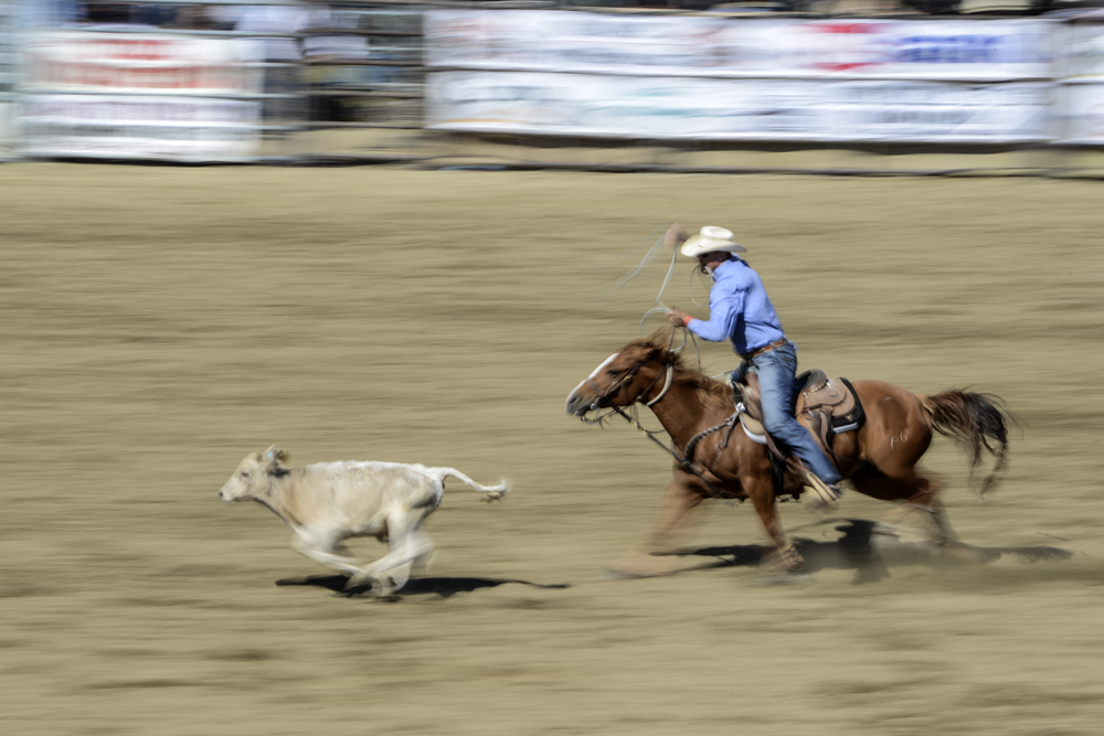 2015 San Dimas Rodeo Photo 11.jpg