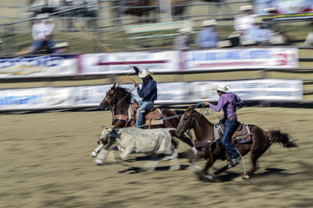 2015 San Dimas Rodeo Photo 12.jpg