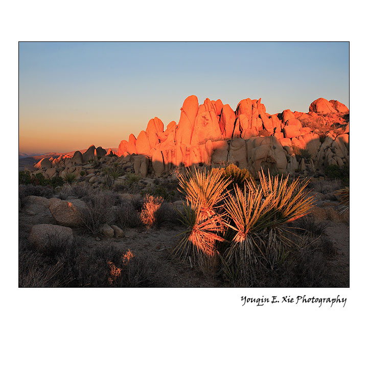 JoshuaRock_9620-2_Framed.jpg