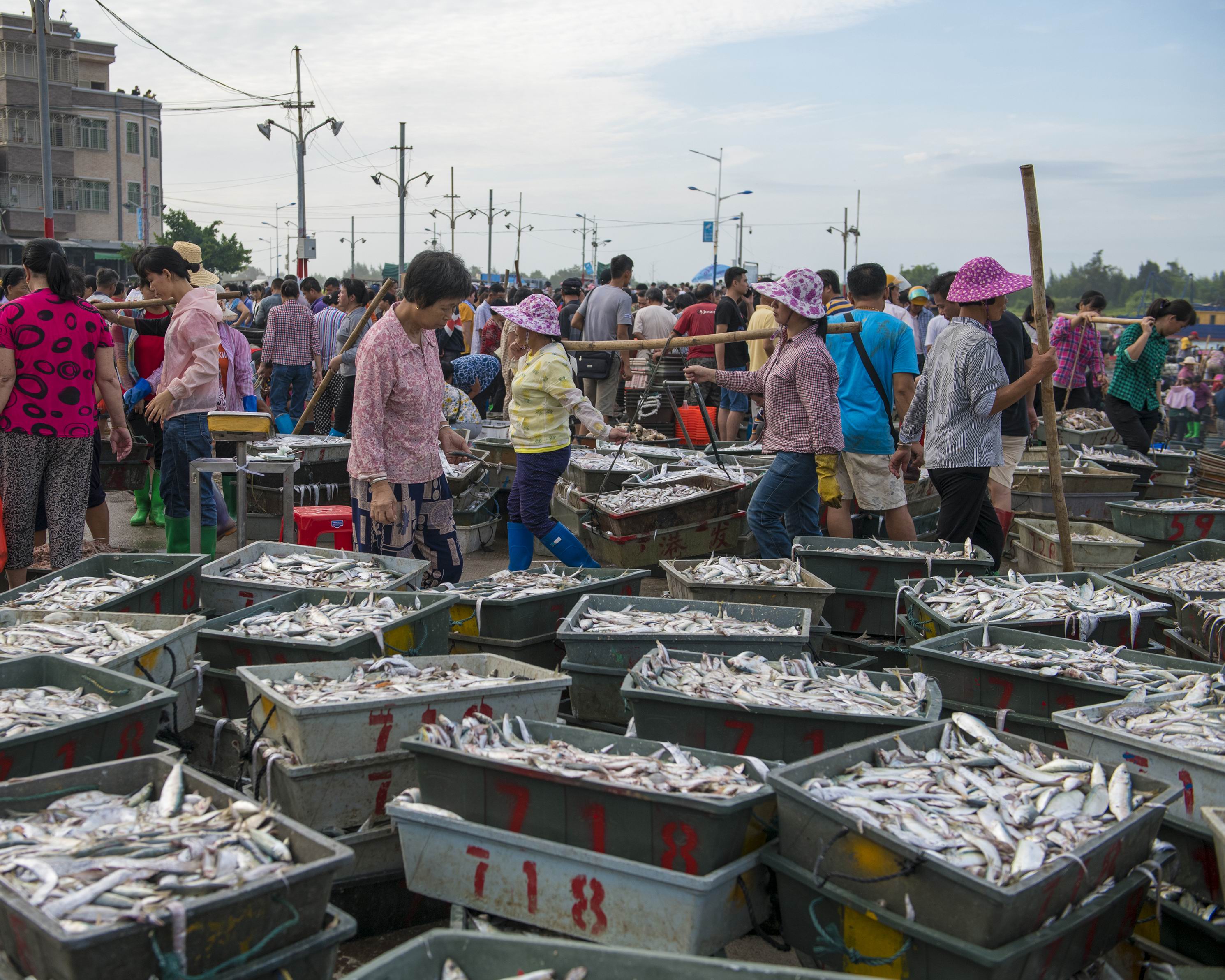 0046_揭阳市惠来县神泉魚港6.jpg