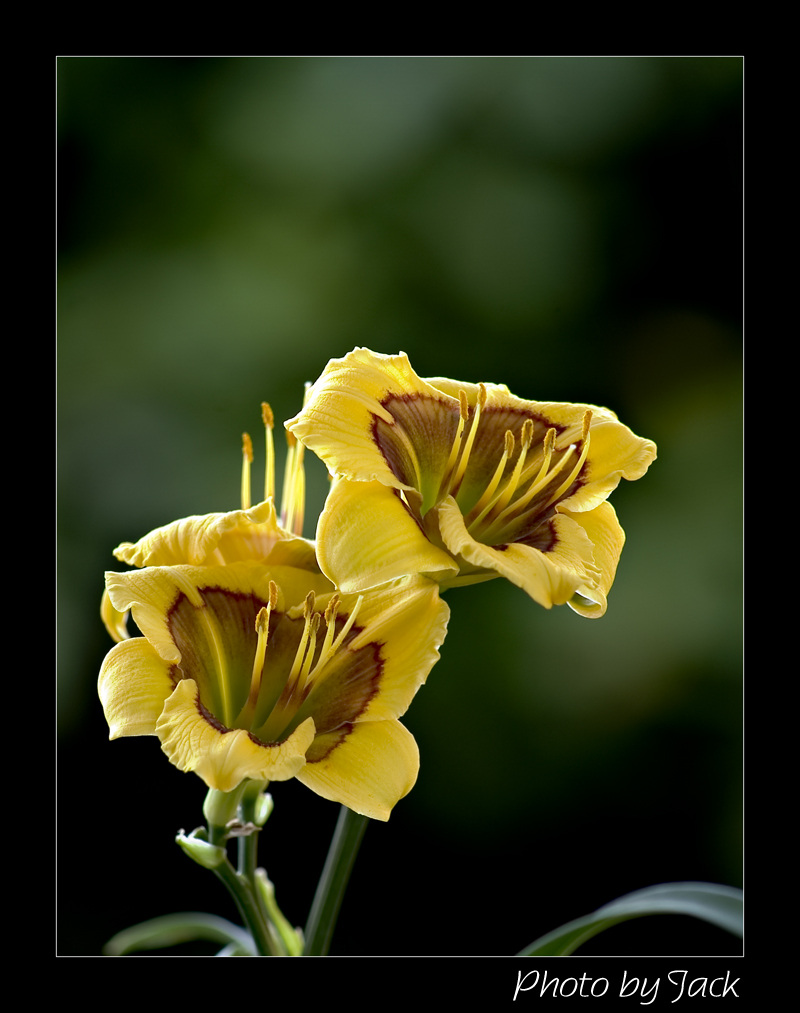 CRW_4968_B.jpg