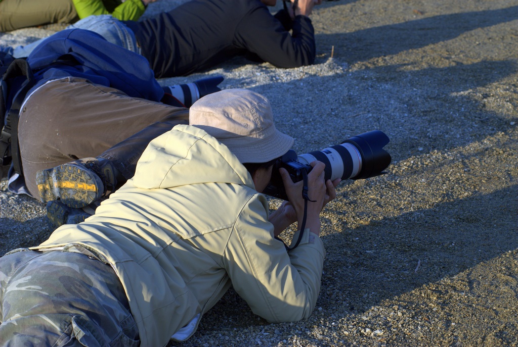 2008HW395_0310.jpg