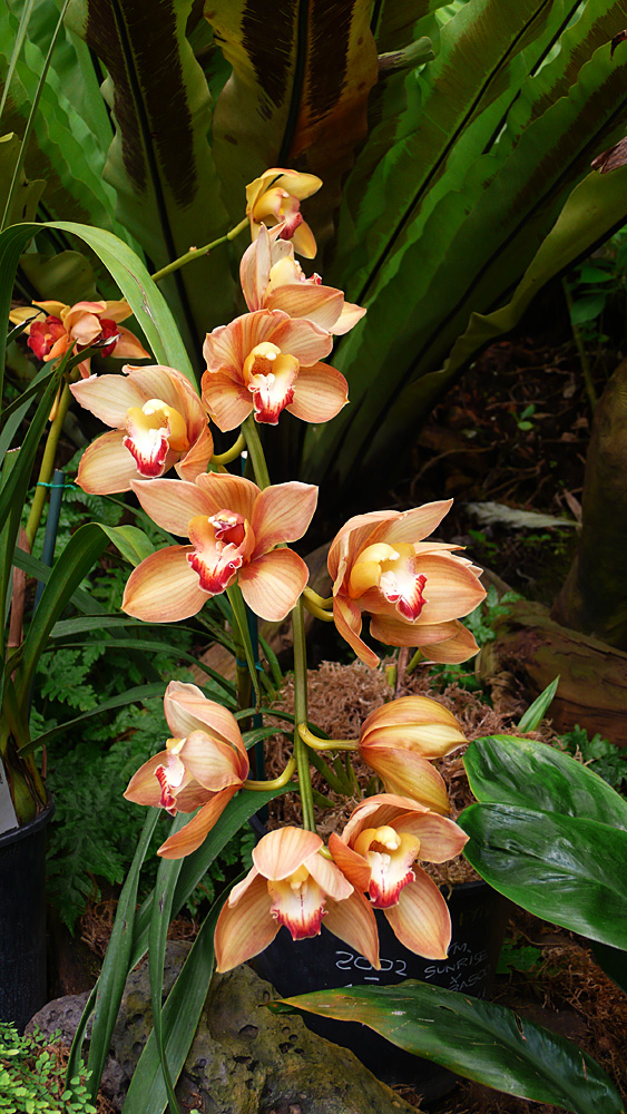 P1050319.jpg